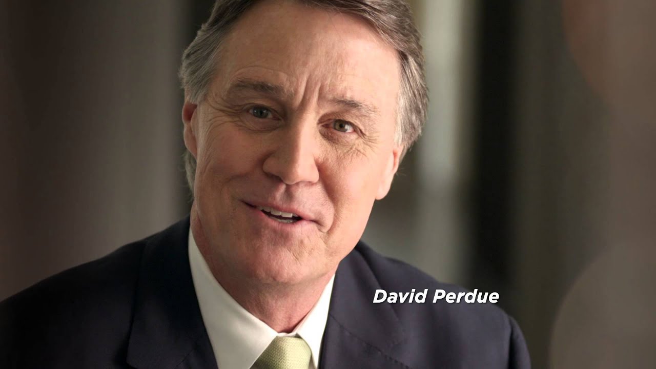 David Perdue: 1st TV Ad 