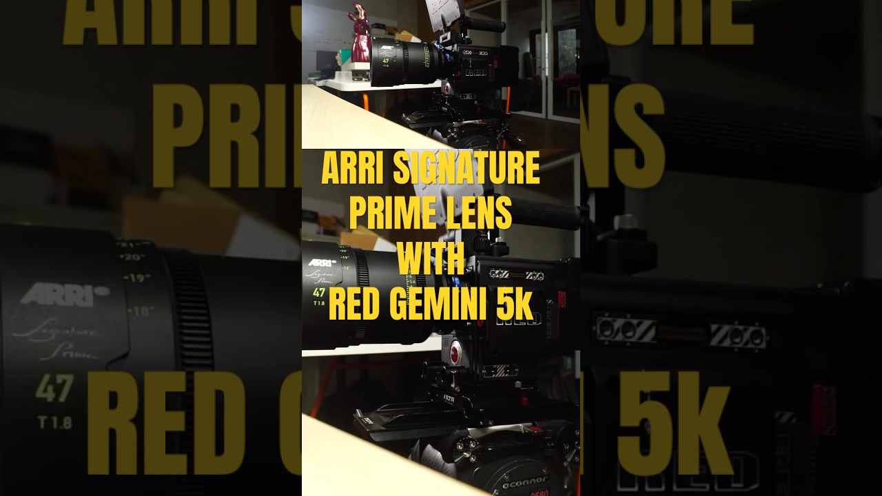 Red Gemini + ARRI signature prime lens : test footage #reddigitalcinema #cinematic #cinematography
