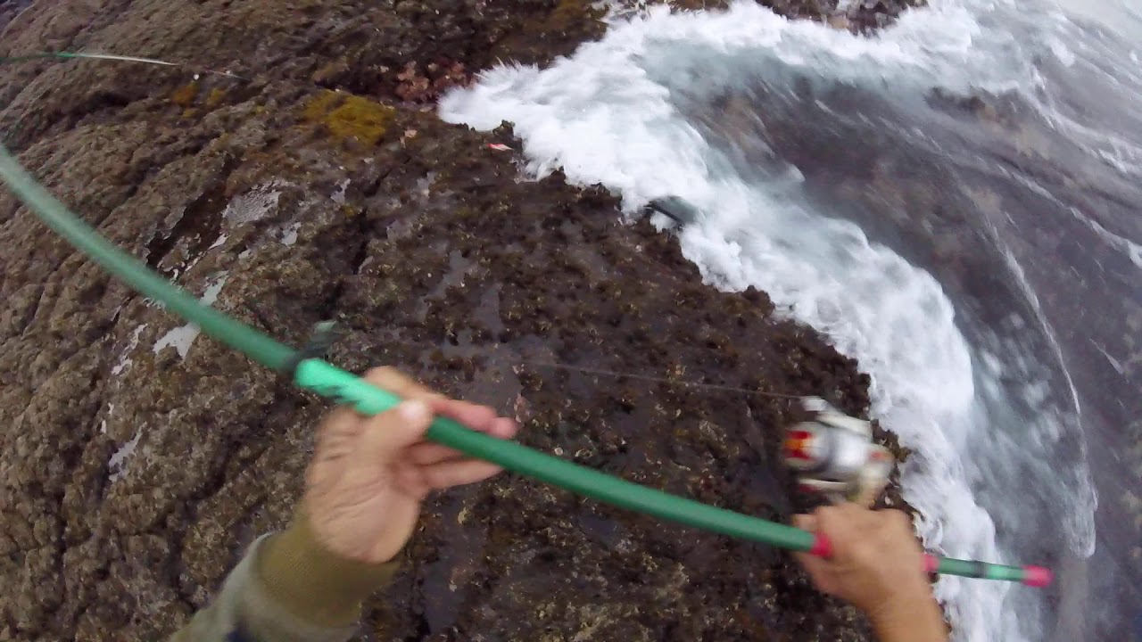 Chopa 3,800 kilogramos.Yauce video sin cortes, pesca con sopa cheemayy