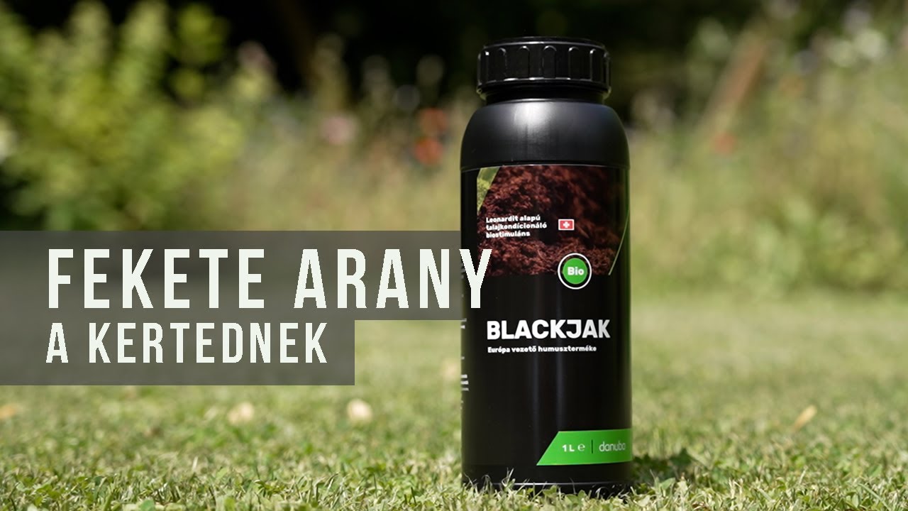 Blackjak, a foly&eacute;kony humusz | kert SHOP