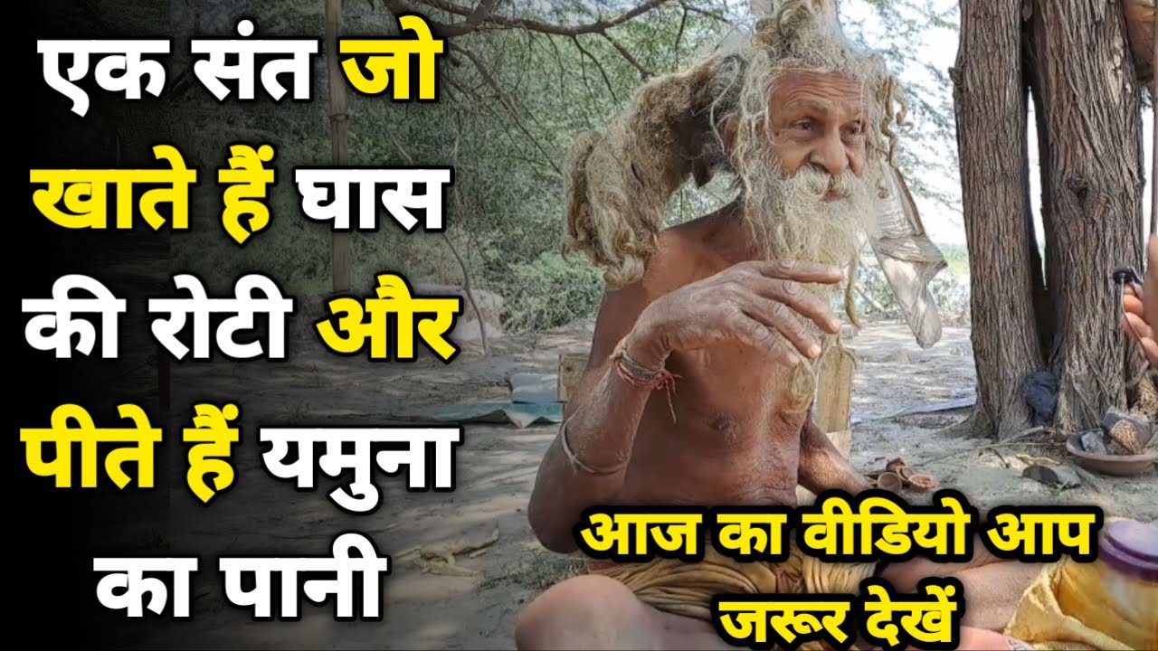 Vrindavan: एक ऐसे संत जो समय आने पर खाते है घास की रोटी यमुना का पानी ||braj darpan|| 2023