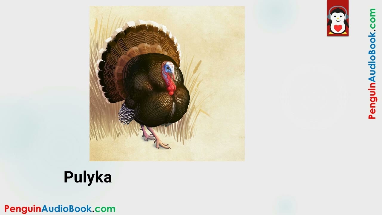 Apprendre les Animaux en Hongrois avec Images 👗 | Dictionnaire Visuel