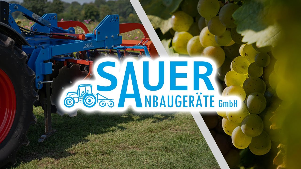 Scheibenegge im Weinbau