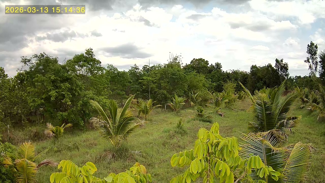 UBox 2026 03 13 150203 3 149