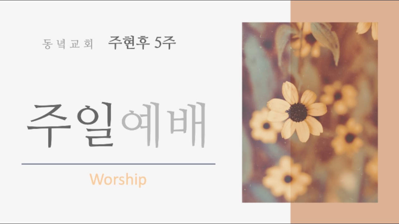 26/02/08 주현 후 5주 | 동녘교회