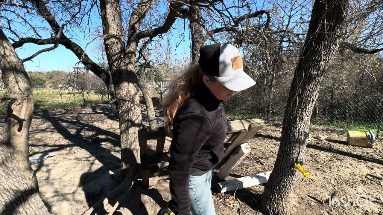 Girls can use a chainsaw to. More Chores to get done. Pig thinks he the foreman.
