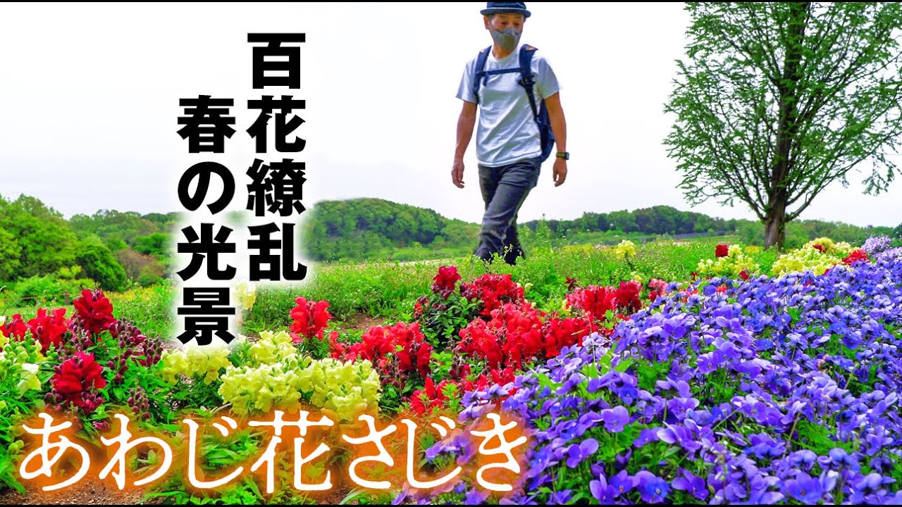 【お散歩風景】春麗のあわじ花さじき2022