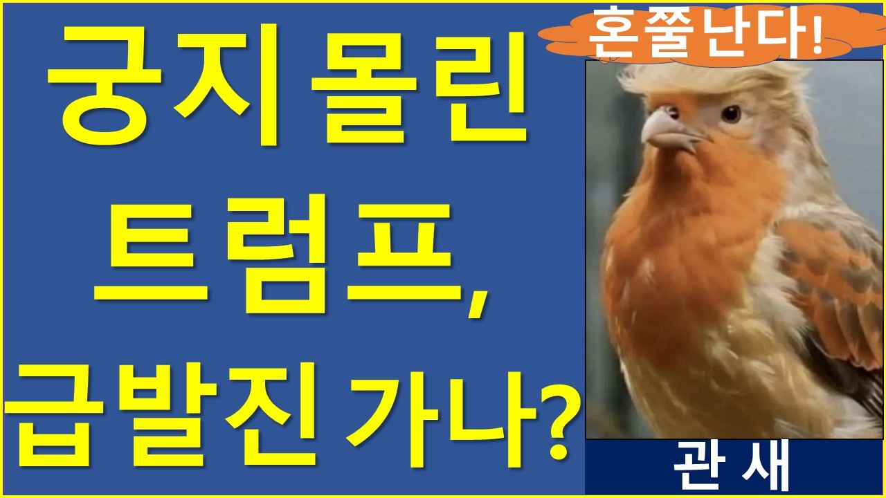이쯤되면 공격 당할까 위험해진 트럼프 신변? 비트코인 이더리움 리플 솔라나 에이다 트럼프 게빈뉴섬 관세 중국