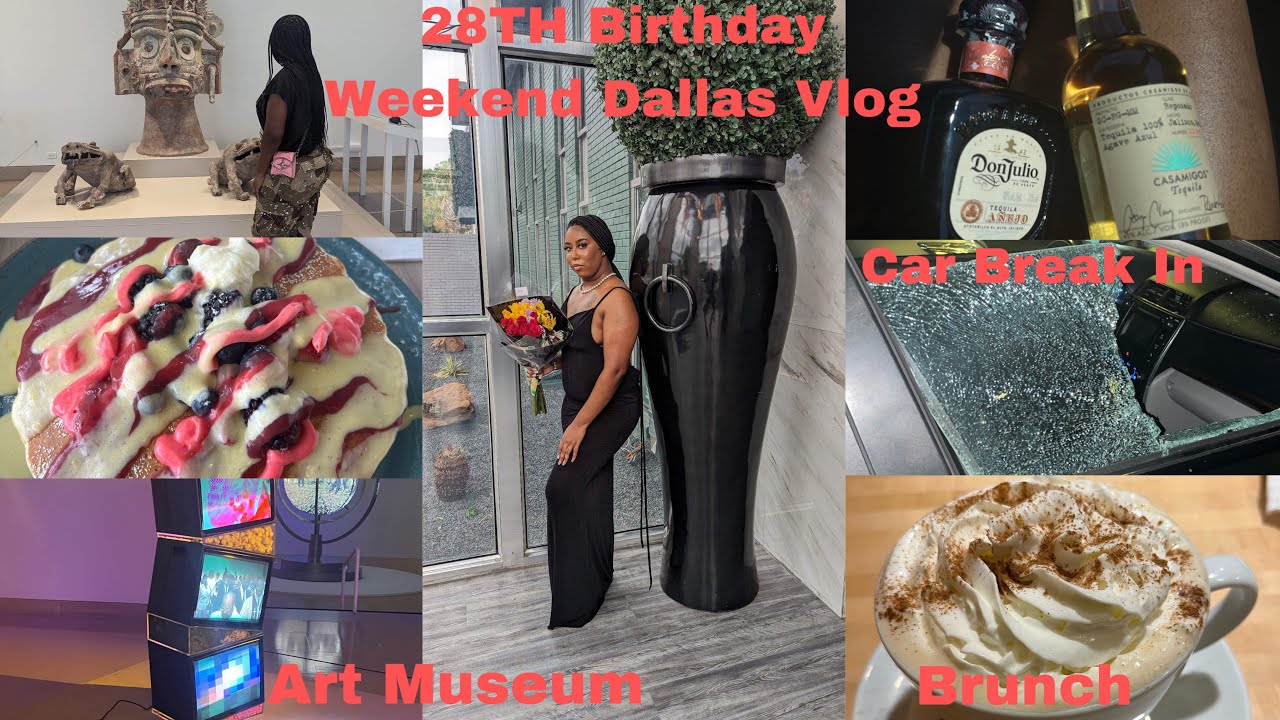 DALLAS TRAVEL VLOG BIRTHDAY VLOG LARRY JUNE CONCERT + CAR GOT BROKE IN + BRUNCH + ART MUSEUM & MORE