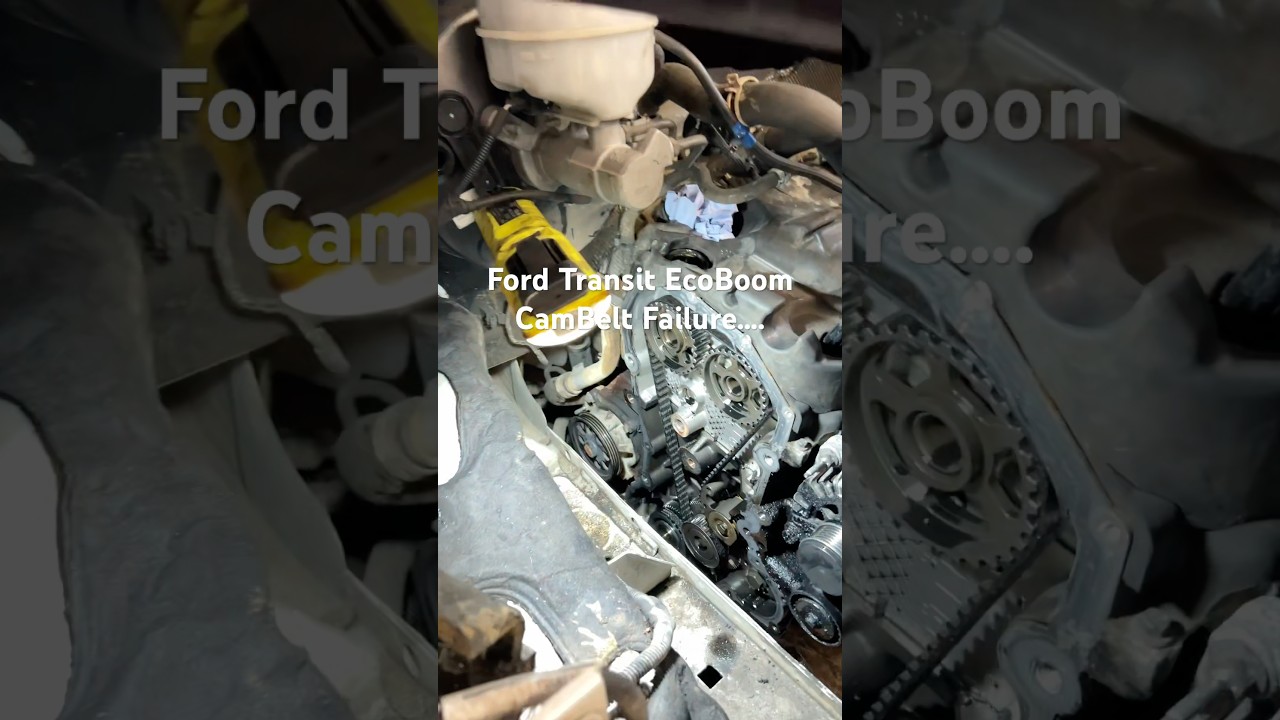 Ford Transit Eco Boost CamBelt Failure 