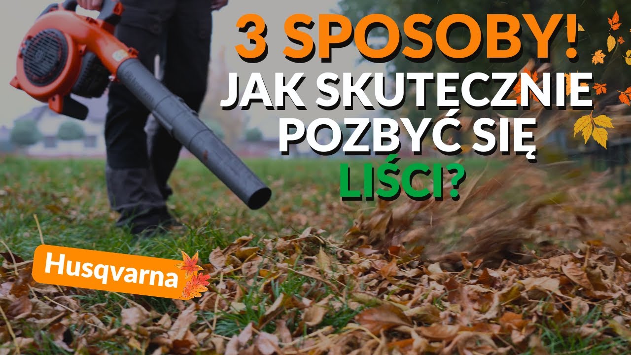 3 SPOSOBY - Jak skutecznie pozbyć się liści z trawnika!