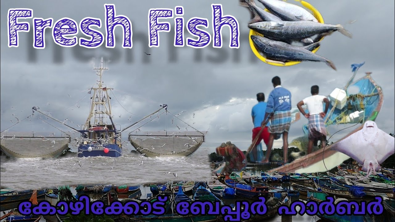 kozhikode ||Beypore || Fishing Harbour || 2023 || video