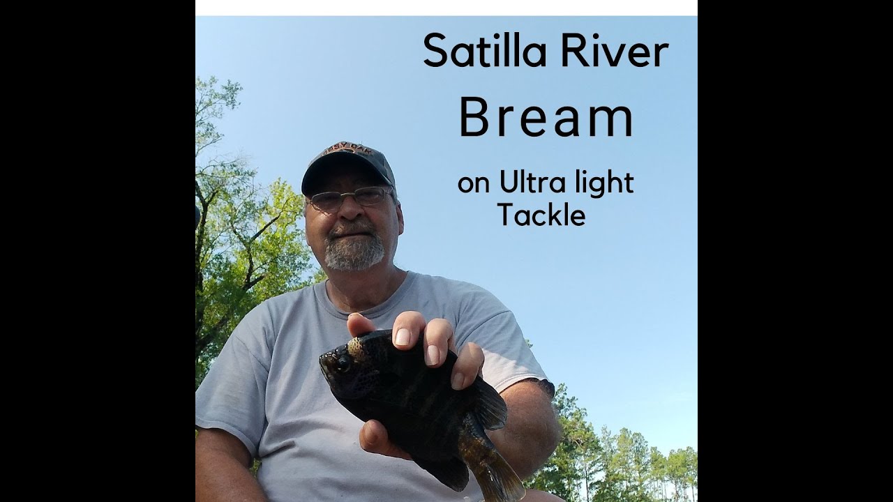 Bream fishing the Satilla River