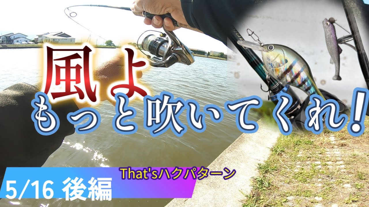 風が吹いたらハクパターン！トップがダメでもこの手があった！【大江川】
