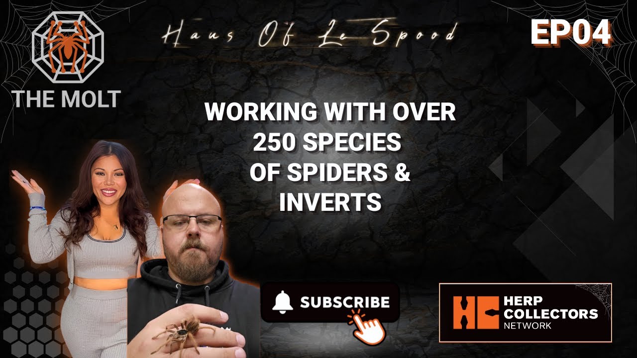 EP04 - Working with Over 250 Species of Spiders & Inverts