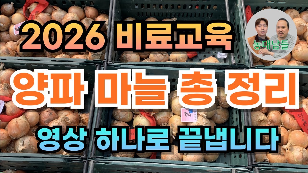 양파·마늘 농사, 비료 이렇게 주면 무조건 성공합니다(총 정리) | 농업전문가가 알려주는 양파·마늘 재배