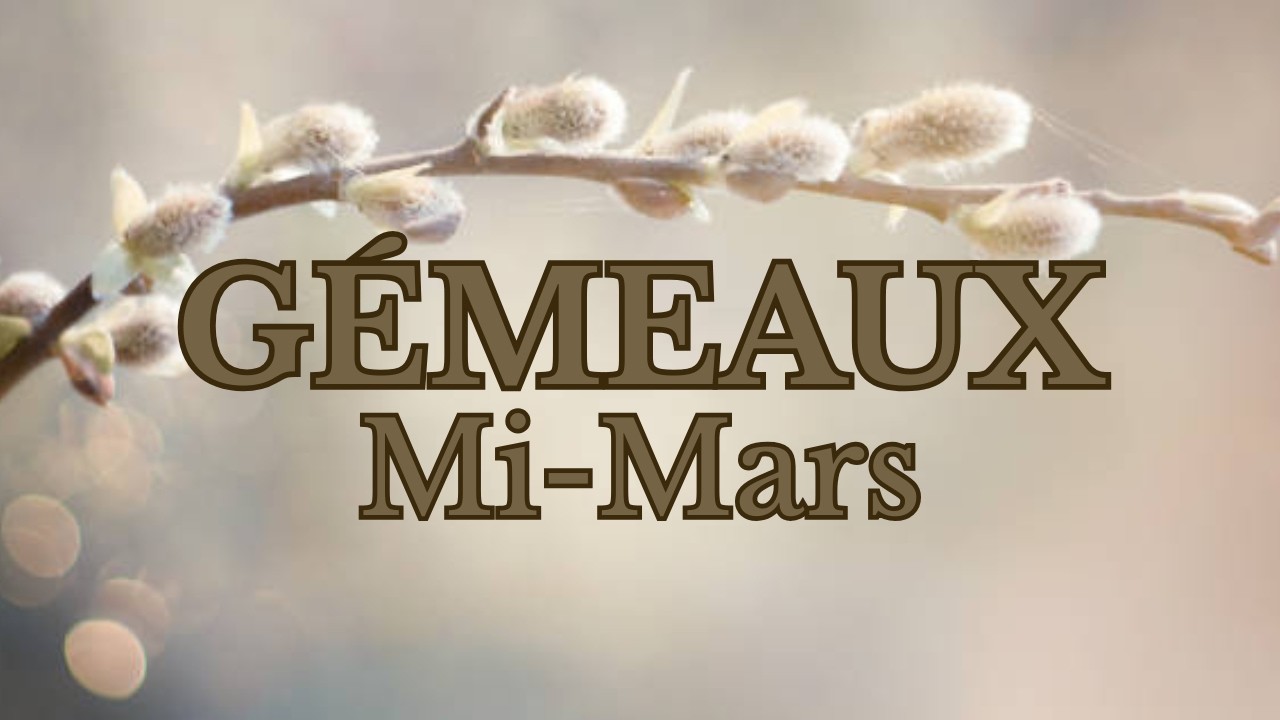 Gémeaux Mi-Mars | Un Succès Arrive 