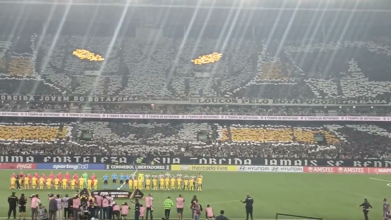 MELHOR MOSAICO DO BRASIL E RUMO ÁS OITAVAS DA LIBERTADORES DE BOTAFOGO 1X0 UNIVERSIDADE DO CHILE 💪💪
