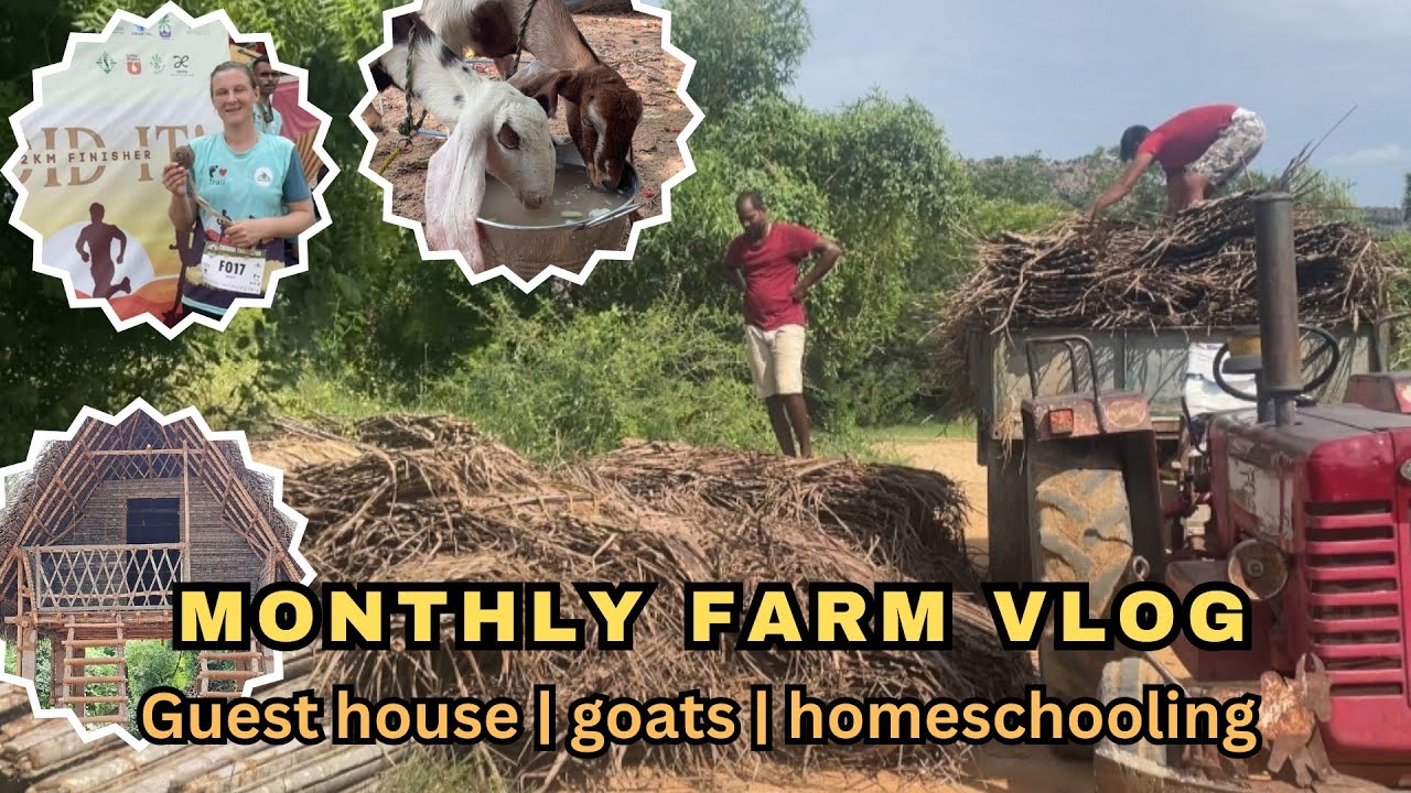 September 2025 recap | monthly farm vlog | goats, guest house, sailing, CTU running 