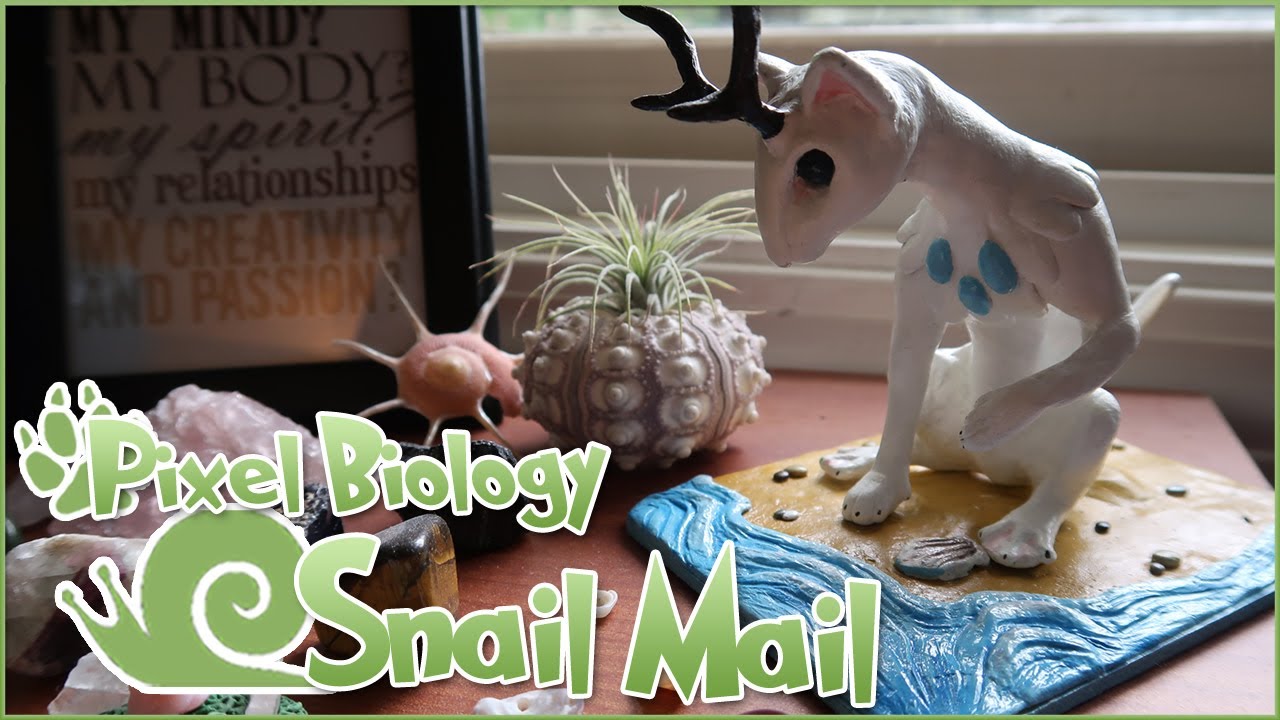 Super Special Snail Mail Surprises & Announcements!! 🐌 &bull; Pixel Biology Updates