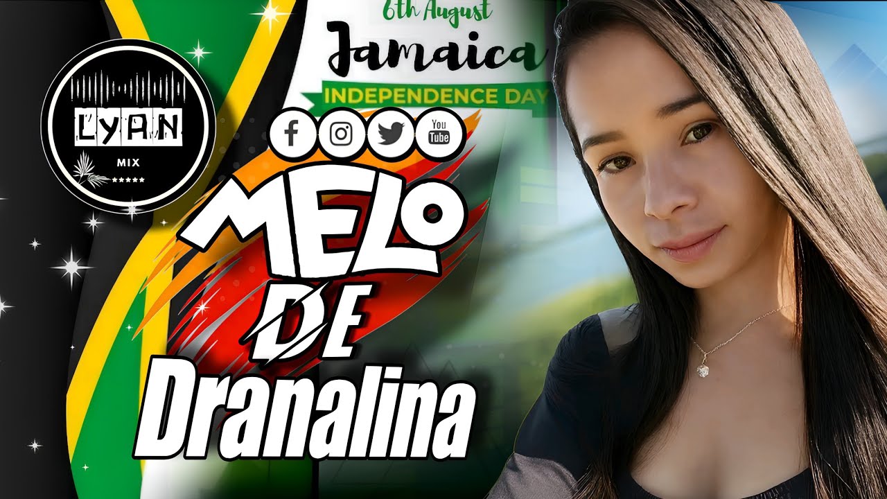 MELÔ DE Dranalina✓ MIXAGEM INTERNACIONAL REGGAE mix [ LYAN REMIX]
