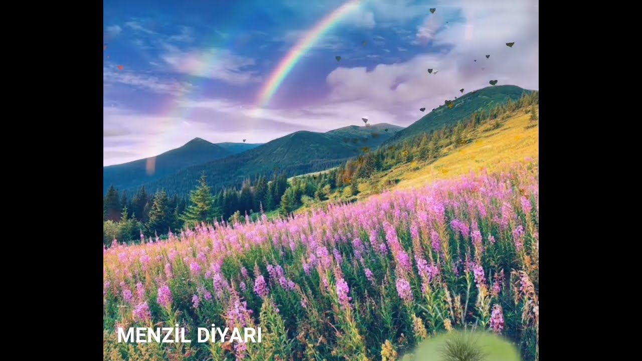 Molla Ahmet Hoca Bu Haftaki Sohbet