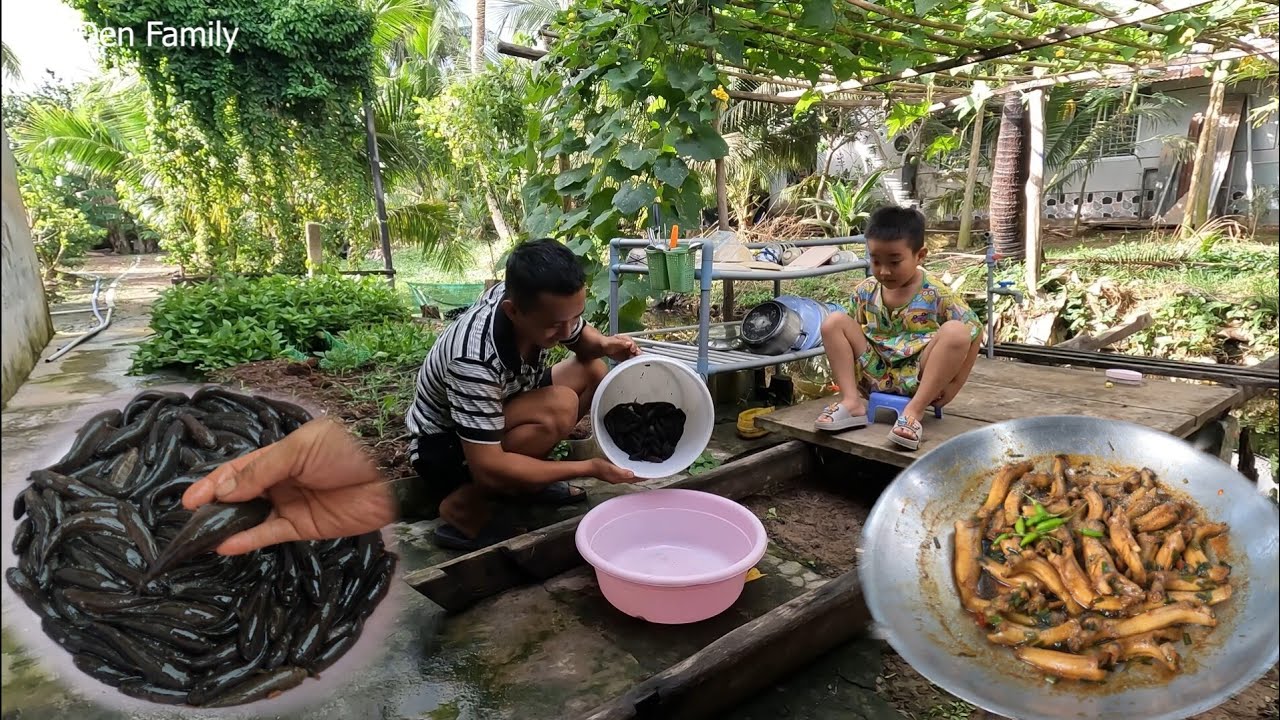 Cá bống chạy lên thấy ham. CÁ BỐNG DỪA KHO TIÊU, BÔNG CẢI LUỘC, DƯA HẤU - Bin Đen Family