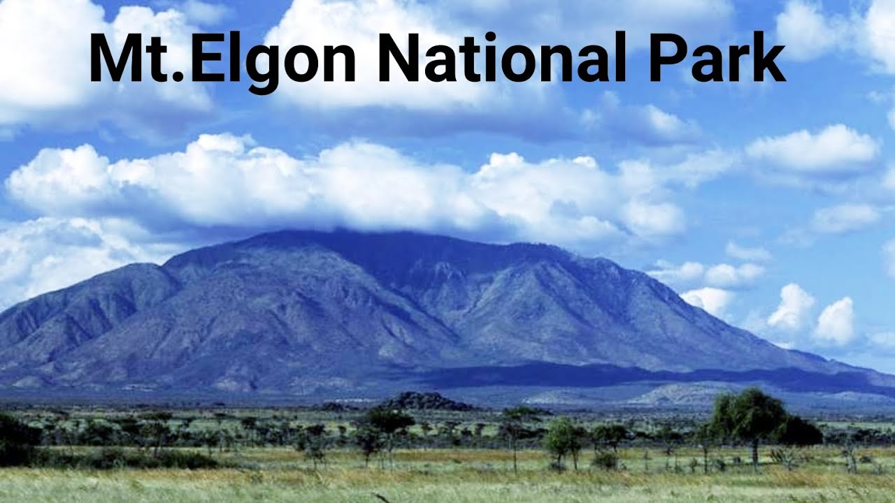 Mt. Elgon National Park @kingsofthejungletours3500