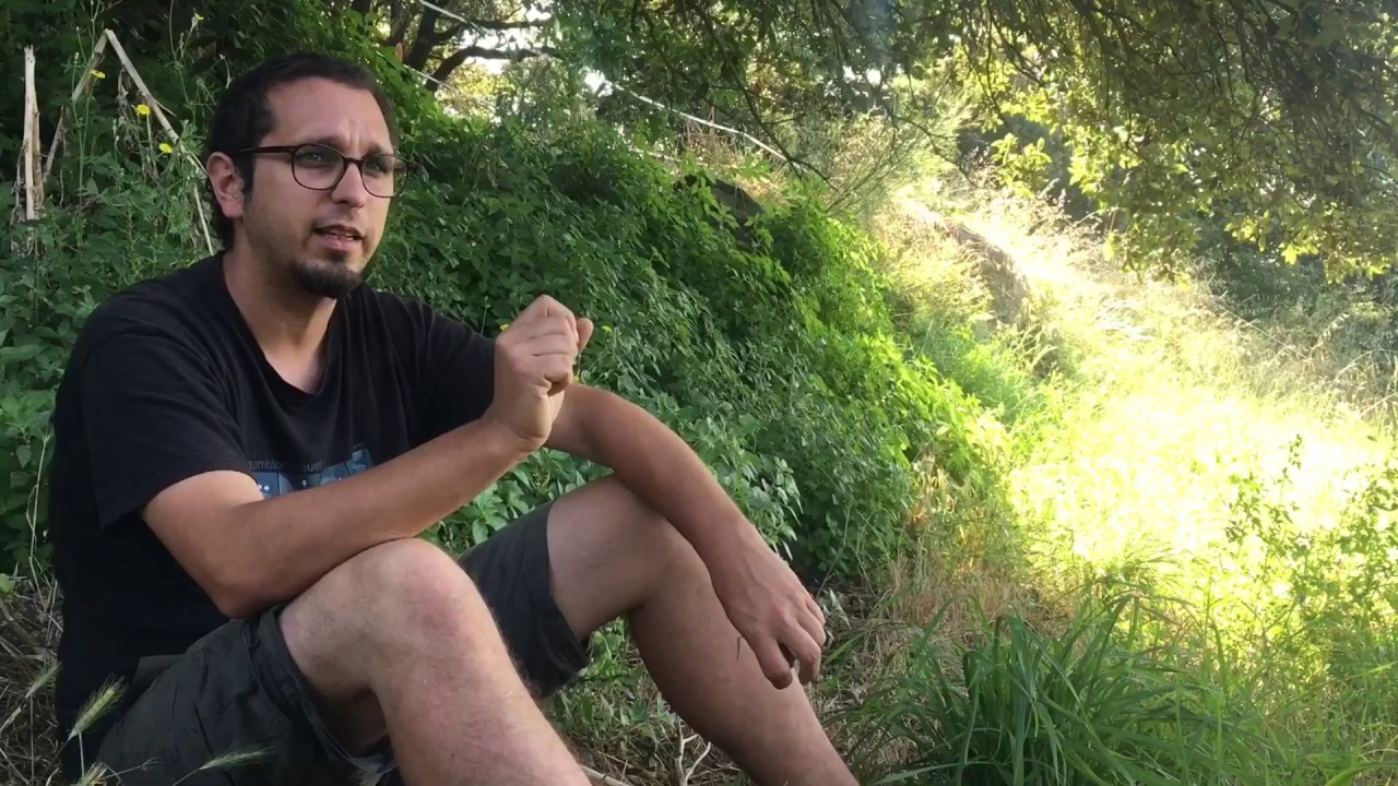 Bosques de alimentos - introducción a sistemas productivos perennes