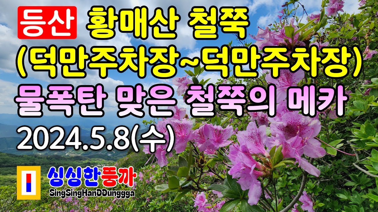[황매산] 황매산 철쭉(덕만주차장~덕만주차장) : 물폭탄 맞은 철쭉의 메카 🌸