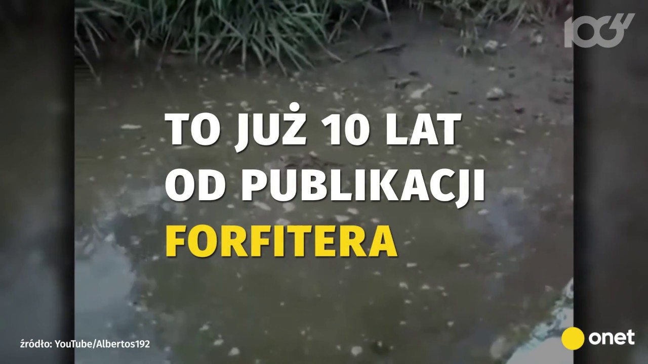 FORFITER ma już 10 lat! | Onet100