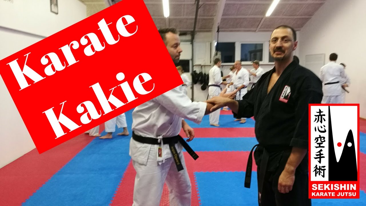 Kakie - De Kihon a Bunkai - Karate Aplicado