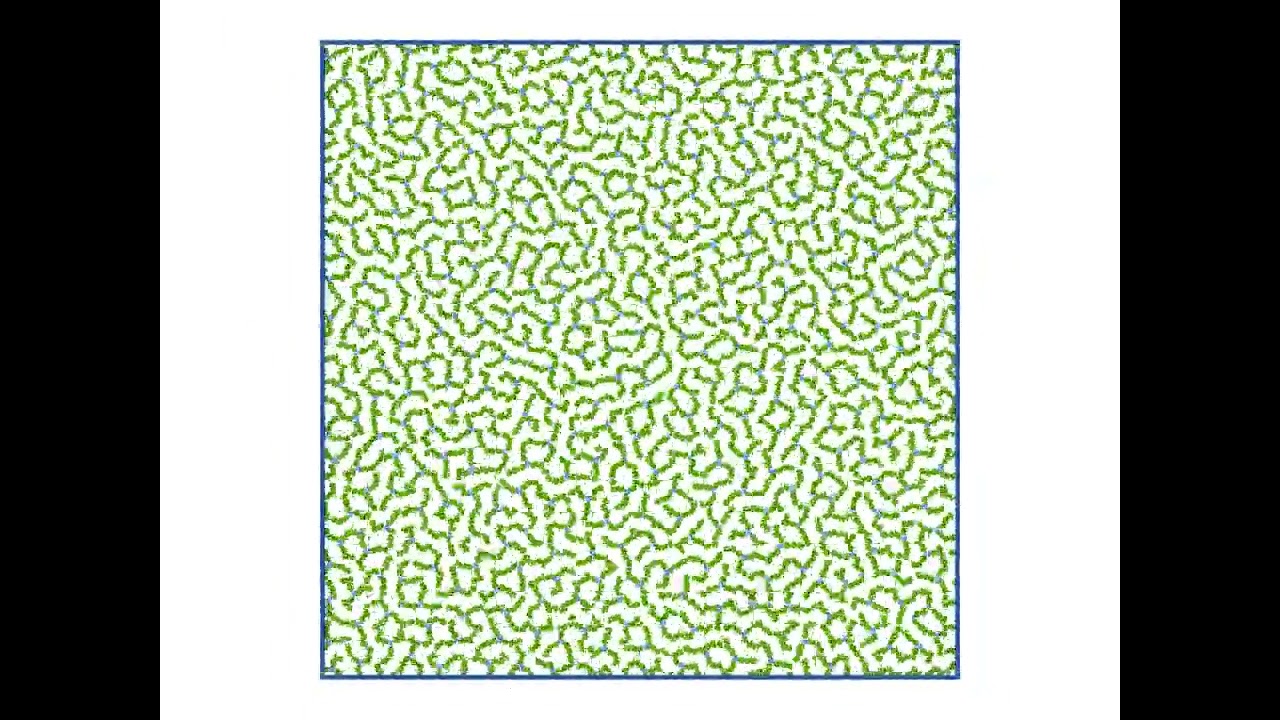 Linked core-corona particles Self-Assembly : Labyrinth of Circles