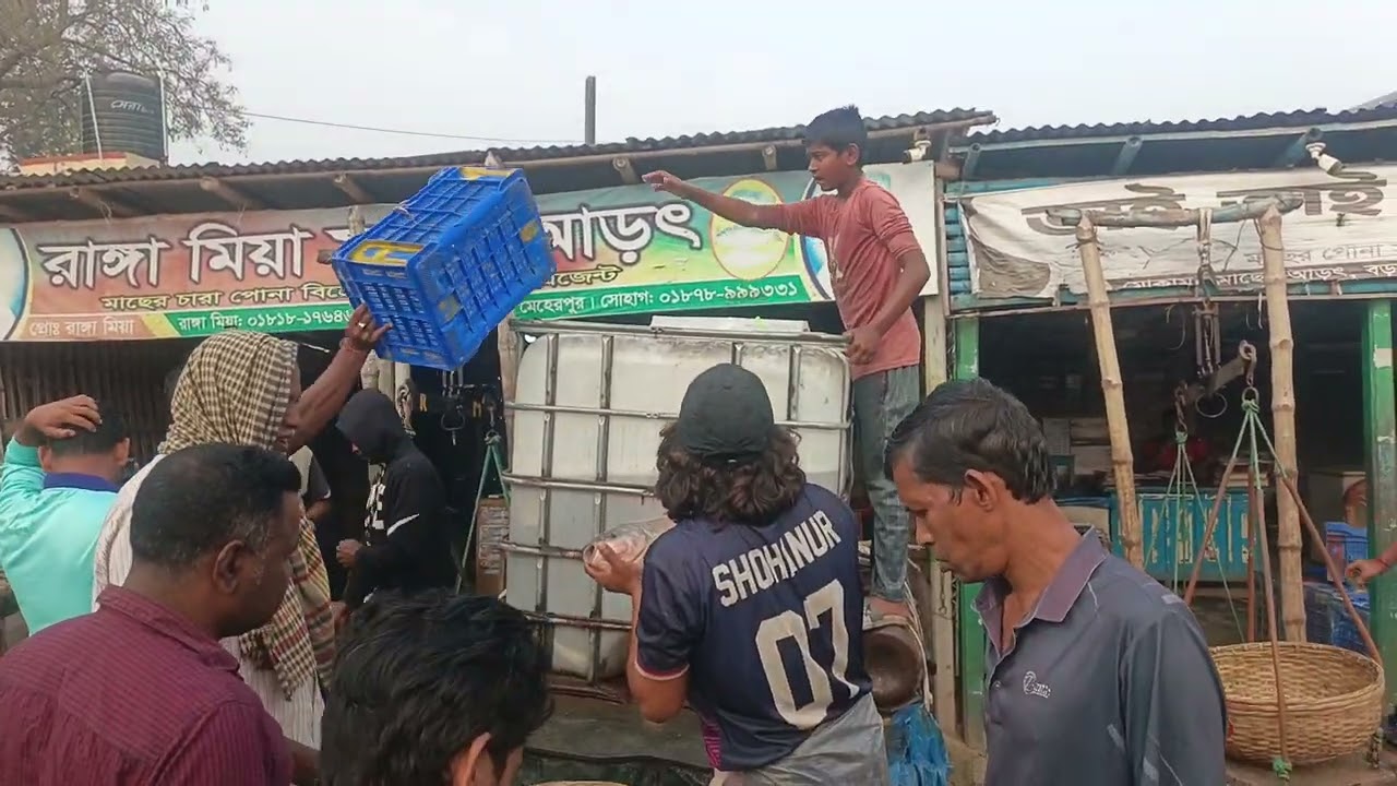 ০৩/০৩/২০২৬রাঙ্গা মিয়া মৎস্য আড়ৎ🐟আপনার প্রিয় বিশ্বস্ত এবং স্বনামধন্য মৎস্য আড়ৎ