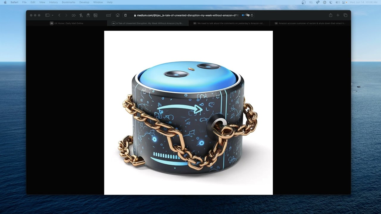 The Customer's Perspective in the Amazon Account Lock out