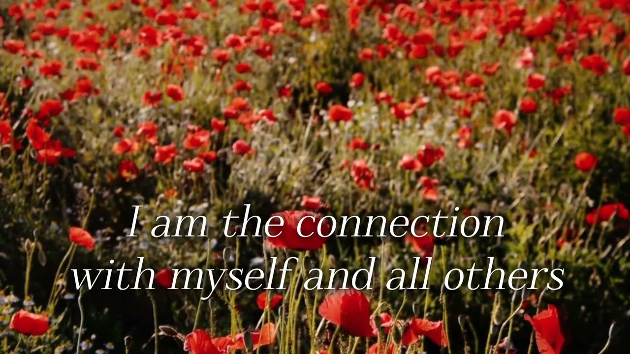 Meditation for connection - Day 26
