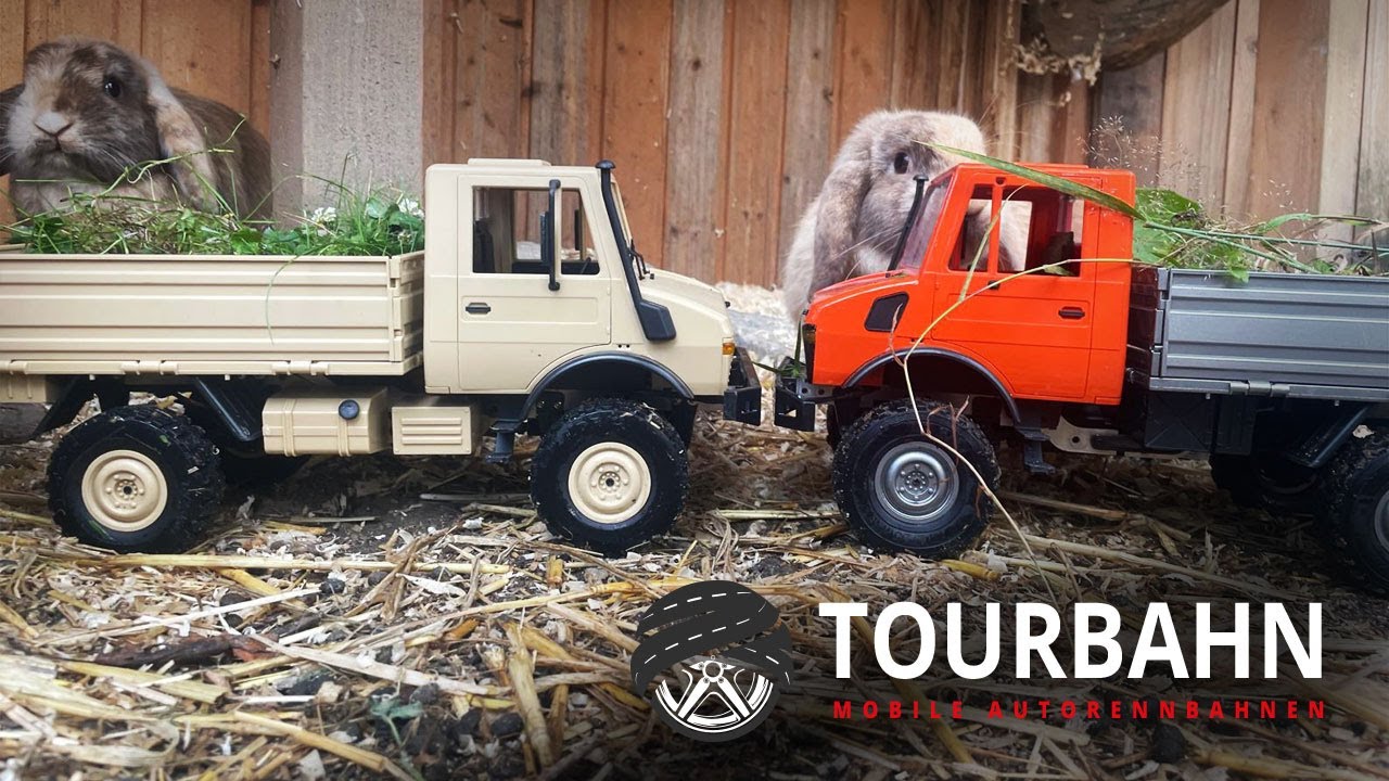 Unimog RC Offroad - LDRC 1201 vs. LDRC LD-P06 - Transport zur Raubtierfütterung