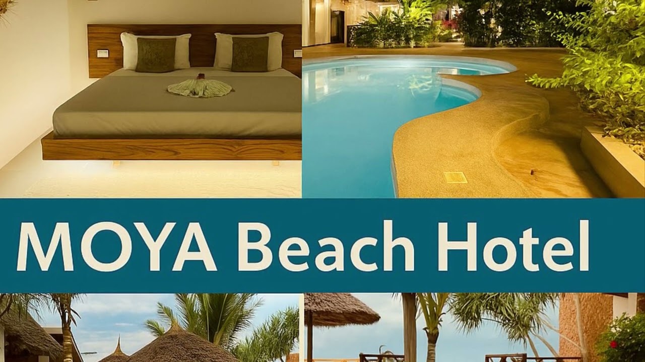 MOYA Beach Hotel - Lounge ocean music