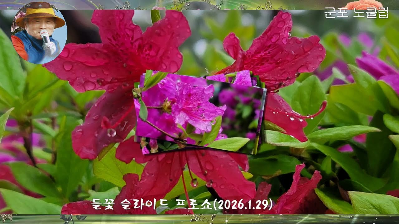 들꽃망울 슬라이드 프로쇼