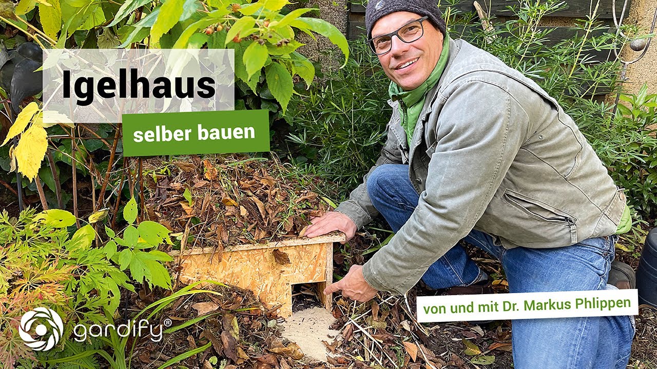 Igelhaus selber bauen: 3 Überwinterungsplätze für Igel in jedem Garten | gardify Tipps