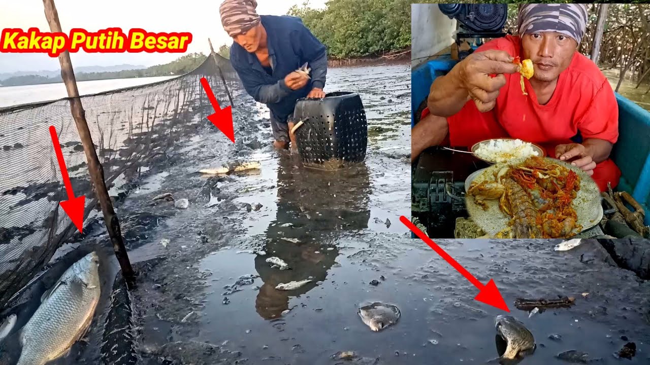 1Hari 1Malam Masak Udang Mantis Cangkang Lunak Setelah Panen Banyak Ikan Di perangkap