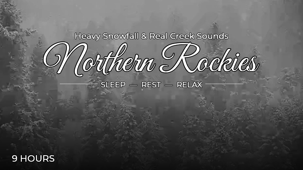 Real Snowfall in the Northern Rockies for Deep Sleep | 9 Hours