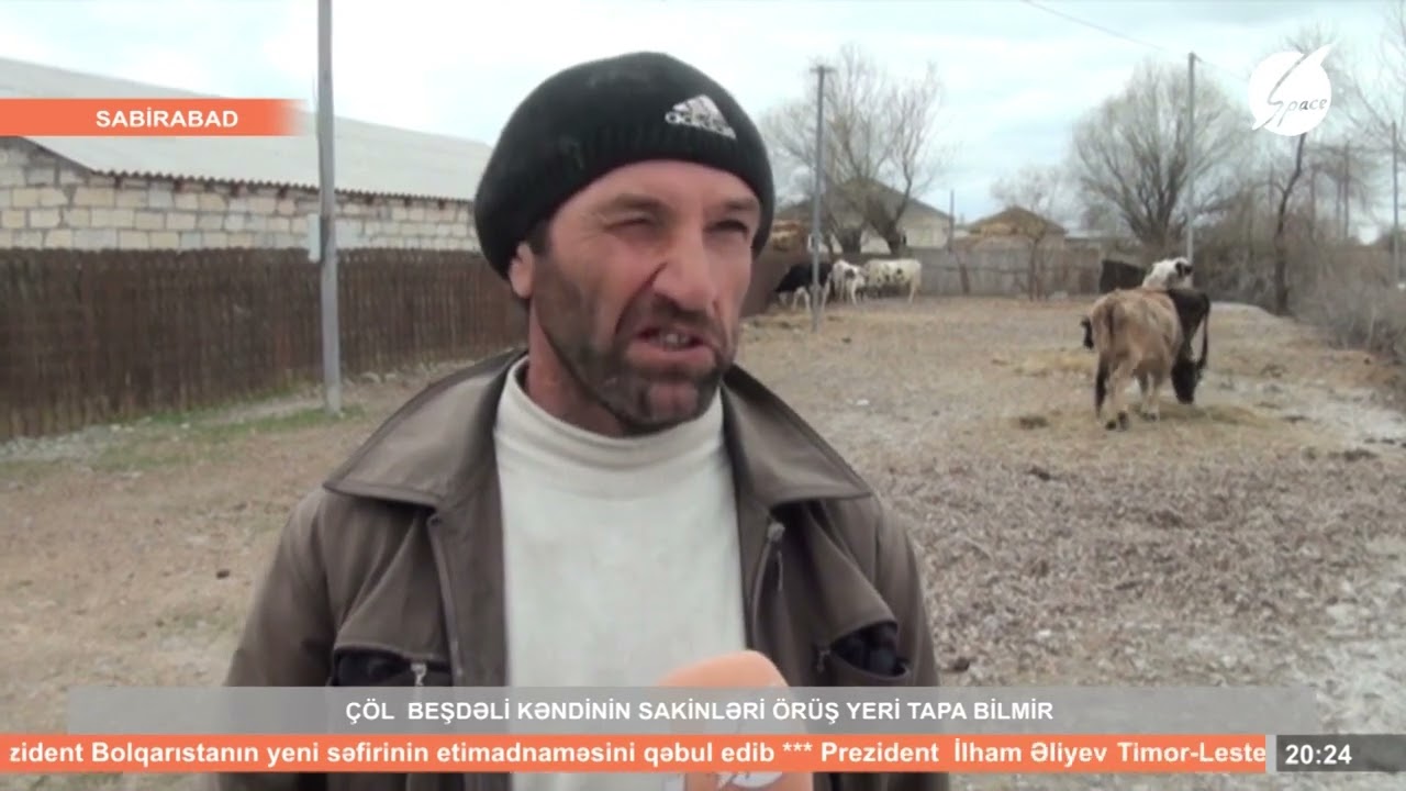 Sabirabad rayonun Çöl Beşdəli kənd ərazisində örüş torpaqları yoxdur.. #spacetv #sabirabad