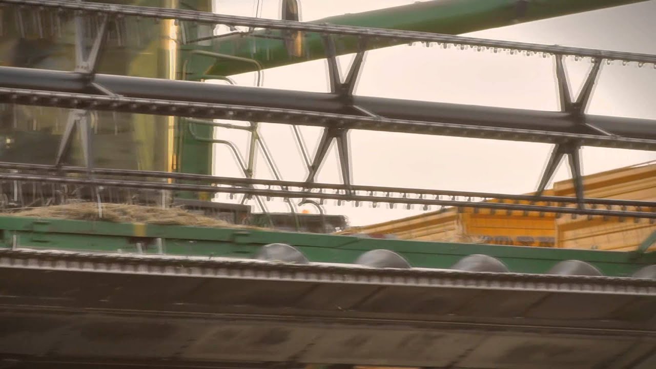 Rzepak pod ostrzem gigant&oacute;w ! |__| The Farm Brothers