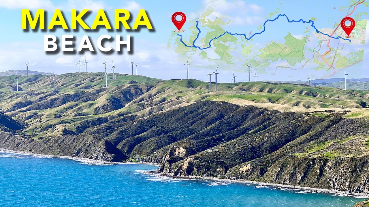 Drive to Makara Beach and the Wind Farm | Wellington New Zealand 2025