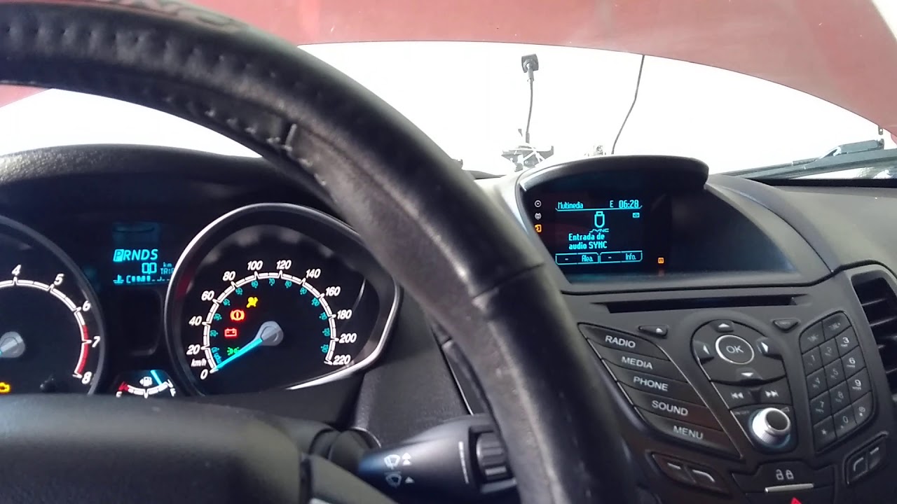 borrar servicio Ford fiesta 2016