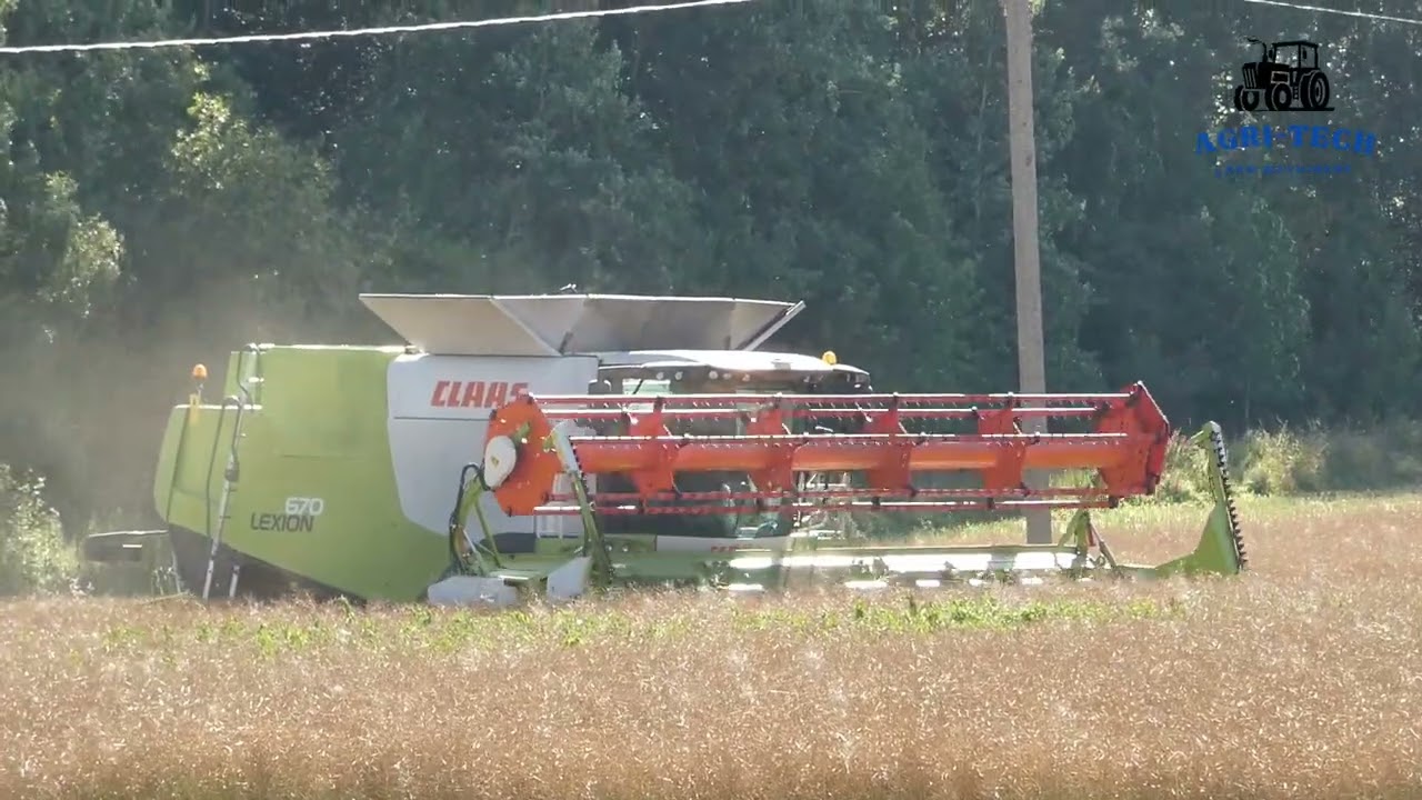 Claas Harvest Excellence 4 | Lexion harvesting oilseeds