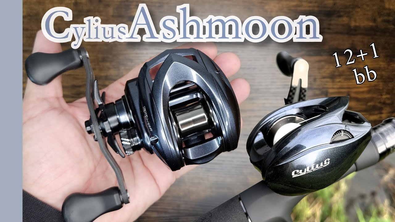 Cylius Ashmoon Baitcaster Rolle_Test an drei Ruten - smooth like hell und wirft 1g bis 30g