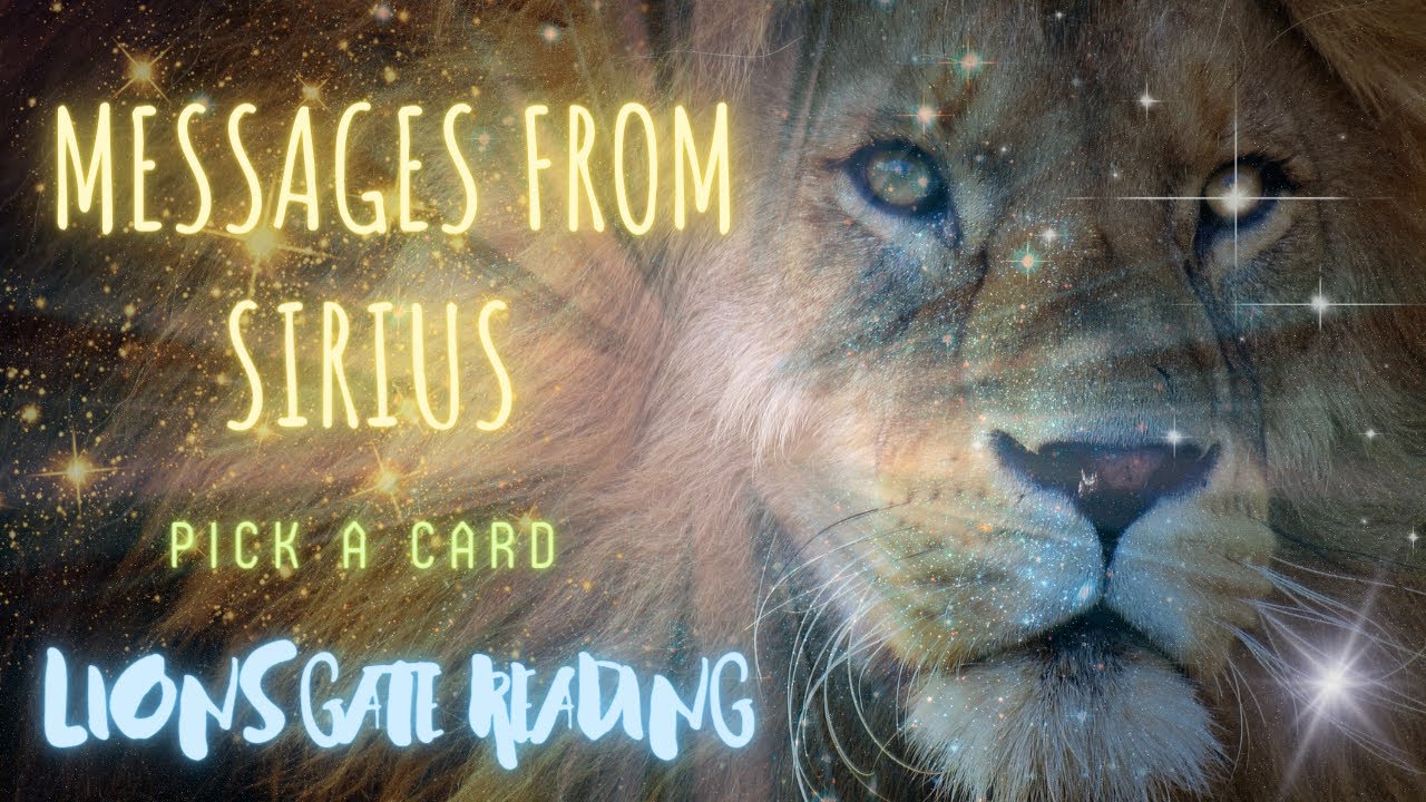 🌀 | Pick A Card | 🌀 Messages From Sirius - 🦁 Lions Gate Portal 🦁 Heart - Hope - Healing - 🛸 👽