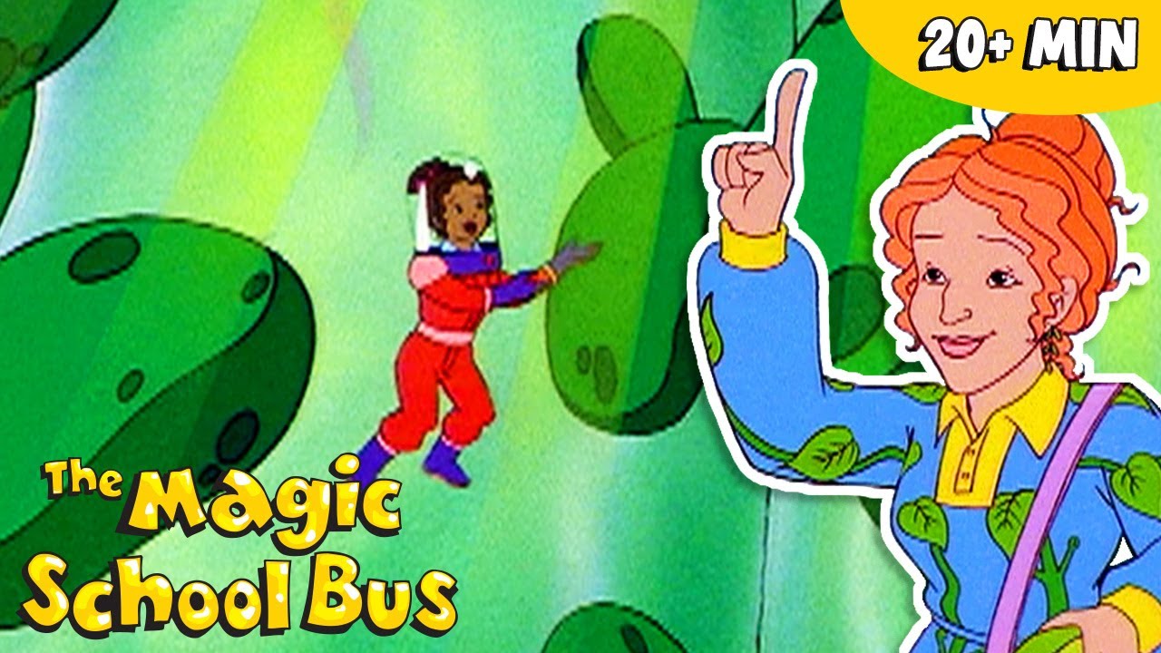 Pollination, Photosynthesis & More | Plant Biology Science for Kids | The Magic School Bus